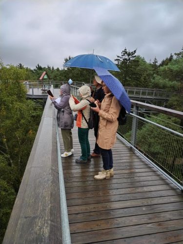 17.Ausflug-Heidehimmel